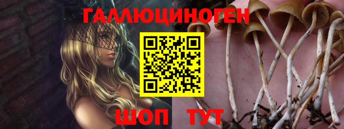 Галлюциногенные грибы Magic Shrooms Миасс